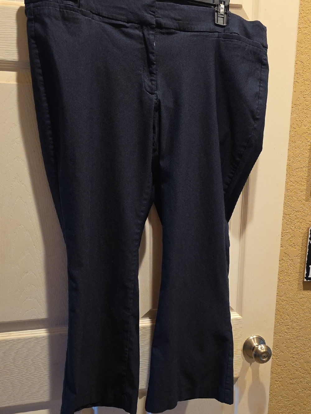 Lane Bryant Navy Petite Stretch Pants